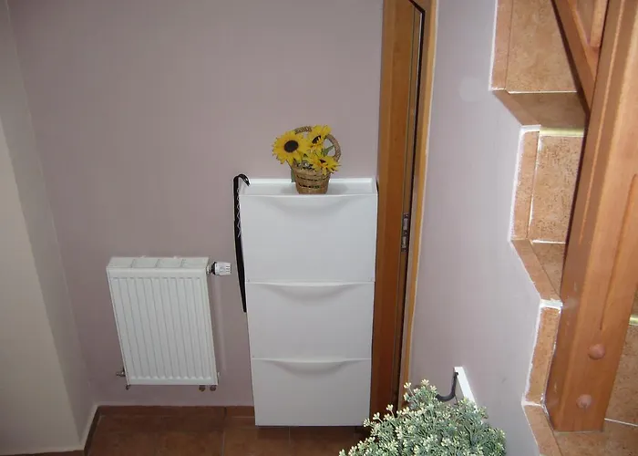 Apartament Amenity *